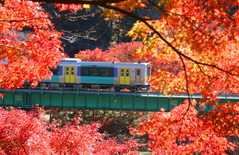 Nhật Bản được bình chọn Quốc gia hấp dẫn nhất thế giới ba năm liên tiếp